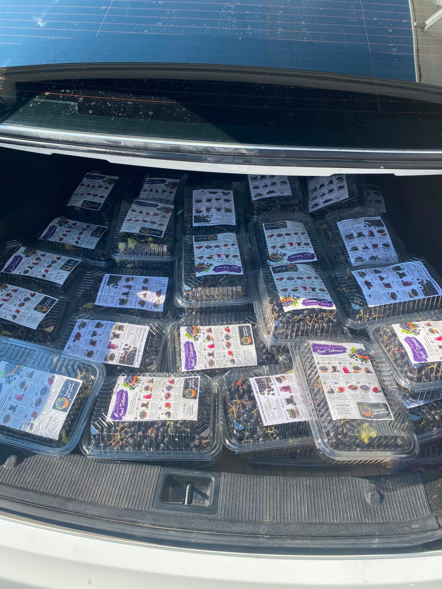 1 kg paketlenmiş taze aronya meyvesi ve tüketim bilgi broşürü